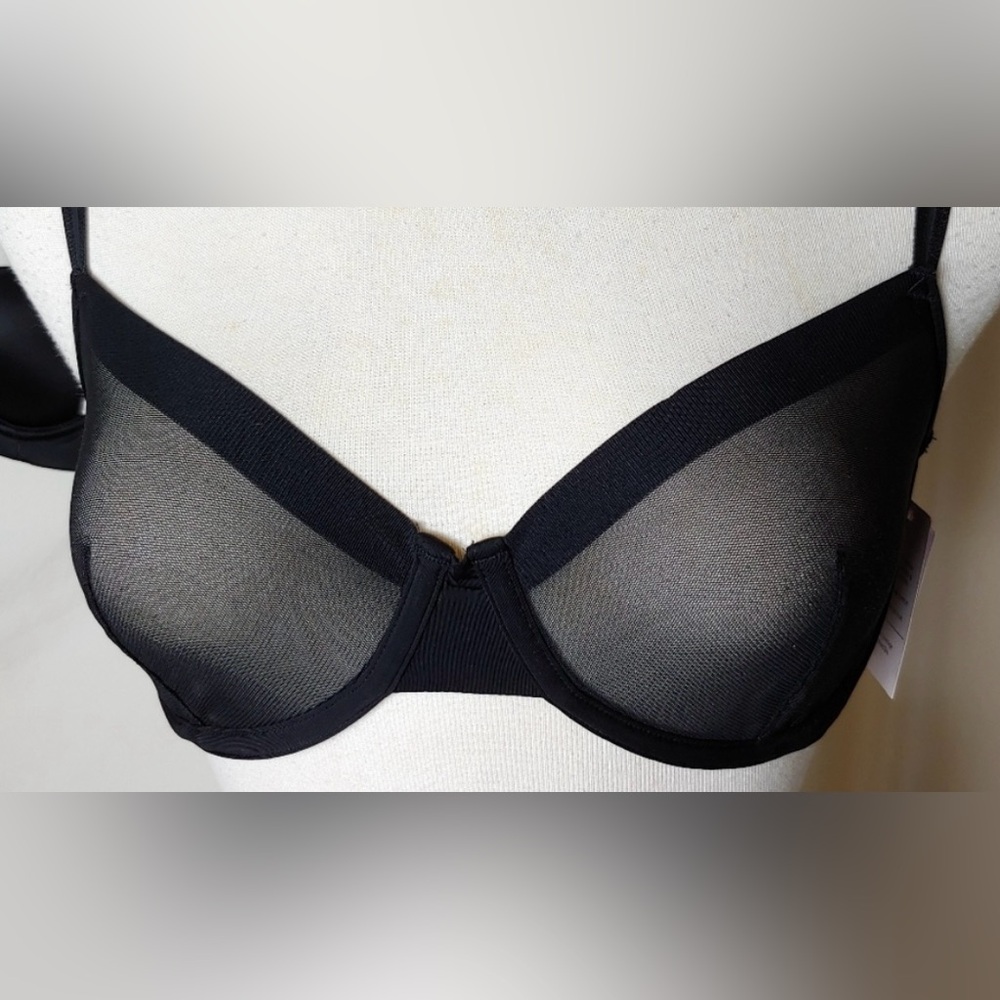 Black Sheer Bra